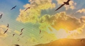 西甲焦点战：巴列卡诺VS火力全开塞维利亚，强强对决前瞻